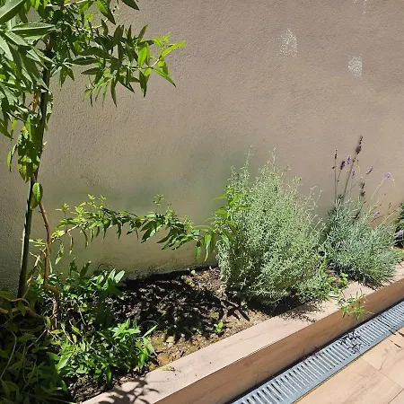 Duplex Monte Y Mar Con Gran Patio Y Piscina Appartement *